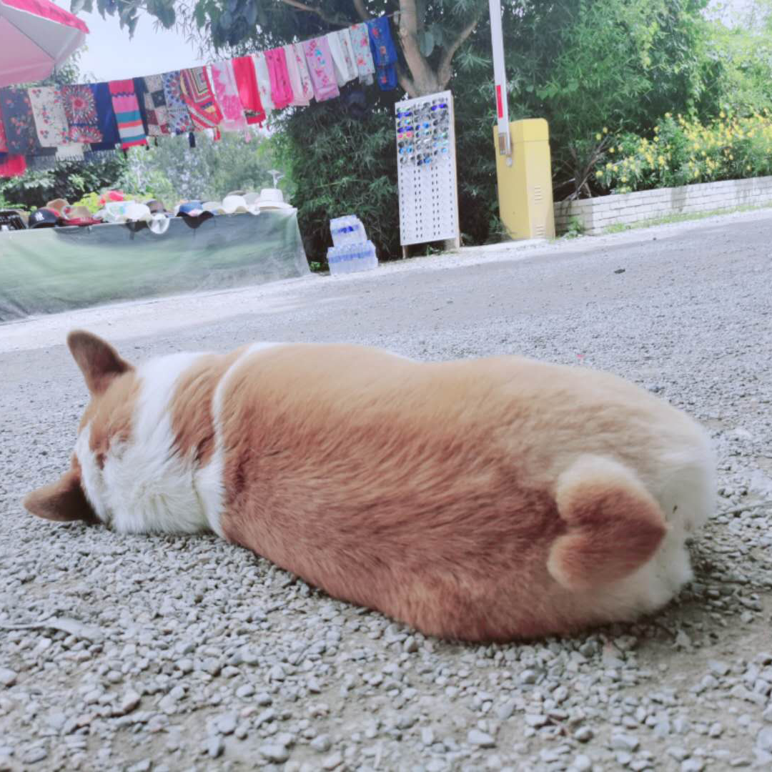 吕行者
